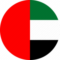 UAE Flag